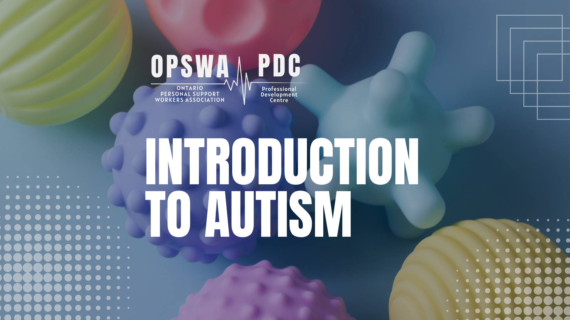 Introduction to Autism